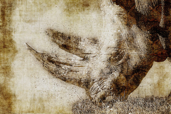 Decorative Animal Printables Pack 010: Instant Art for Your Projects