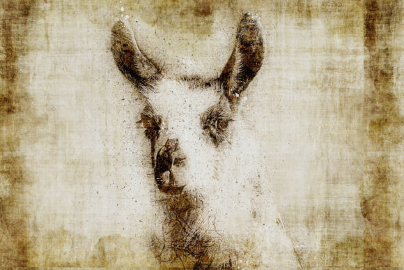 Decorative Animal Printables Pack 07: Instant Art for Any Space