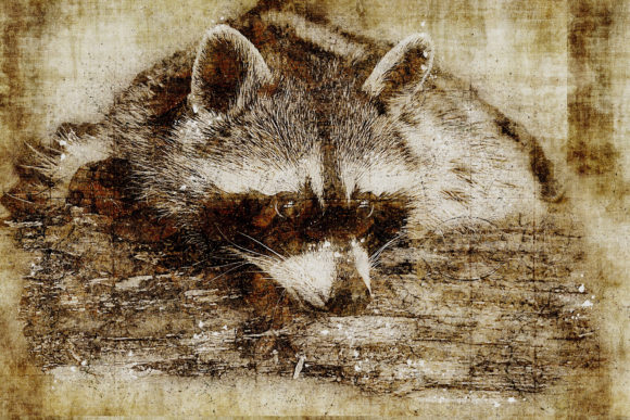 Decorative Animal Printables Pack 08: Instant Wall Art