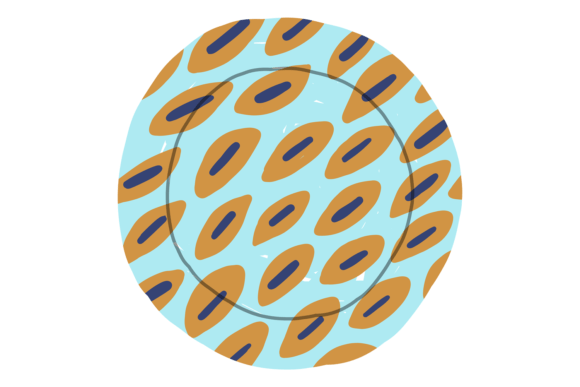 Dish Plate with Decorative Pattern in Cu: A Designer's Playful Asset