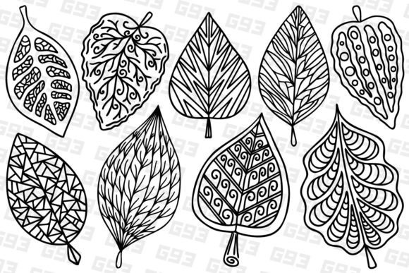 Stylized Decorative Line Art Leaves: A Modern Design Asset