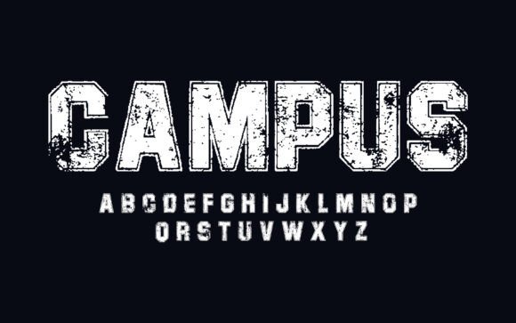 Urban Edge: Decorative Bold Vector Font Typography for Impactful Design